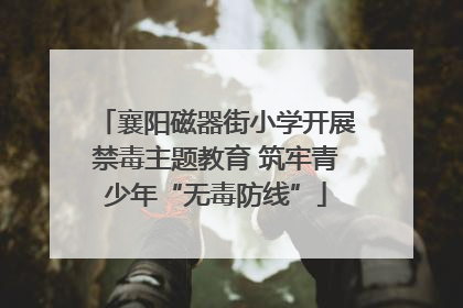襄阳磁器街小学开展禁毒主题教育 筑牢青少年“无毒防线”