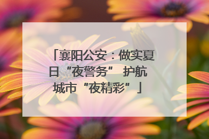 襄阳公安：做实夏日“夜警务” 护航城市“夜精彩”