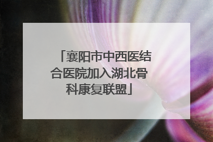 襄阳市中西医结合医院加入湖北骨科康复联盟