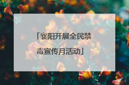 襄阳开展全民禁毒宣传月活动