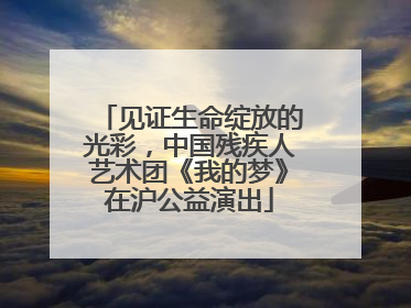 见证生命绽放的光彩，中国残疾人艺术团《我的梦》在沪公益演出