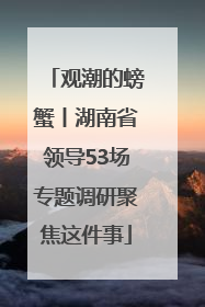 观潮的螃蟹丨湖南省领导53场专题调研聚焦这件事