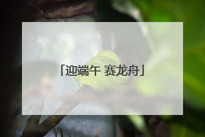 迎端午 赛龙舟
