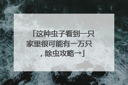 这种虫子看到一只家里很可能有一万只，除虫攻略→