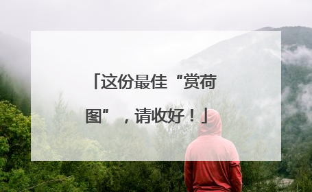 这份最佳“赏荷图”，请收好！