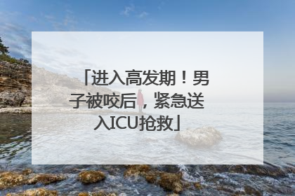 进入高发期！男子被咬后，紧急送入ICU抢救