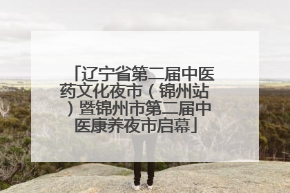 辽宁省第二届中医药文化夜市（锦州站）暨锦州市第二届中医康养夜市启幕