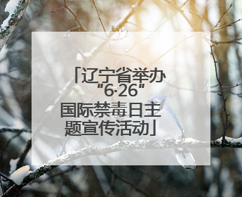 辽宁省举办“6·26”国际禁毒日主题宣传活动