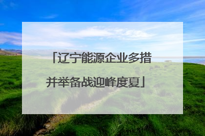 辽宁能源企业多措并举备战迎峰度夏