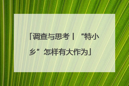 调查与思考丨“特小乡”怎样有大作为
