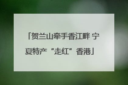 贺兰山牵手香江畔 宁夏特产“走红”香港