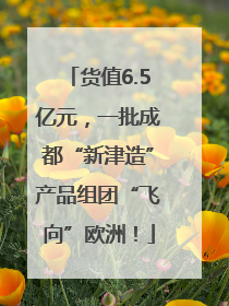 货值6.5亿元，一批成都“新津造”产品组团“飞向”欧洲！