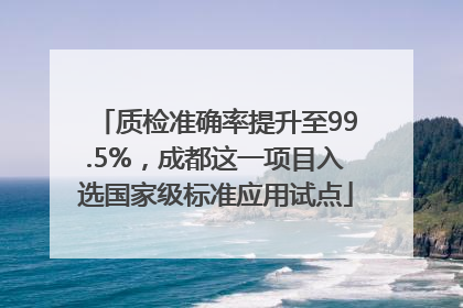 质检准确率提升至99.5%，成都这一项目入选国家级标准应用试点