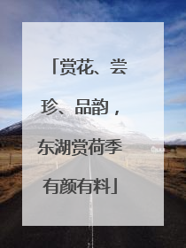 赏花、尝珍、品韵，东湖赏荷季有颜有料