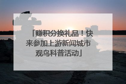赚积分换礼品！快来参加上游新闻城市观鸟科普活动