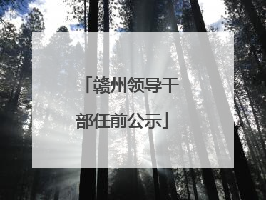 赣州领导干部任前公示