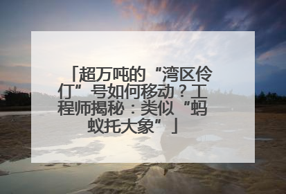 超万吨的“湾区伶仃”号如何移动？工程师揭秘：类似“蚂蚁托大象”