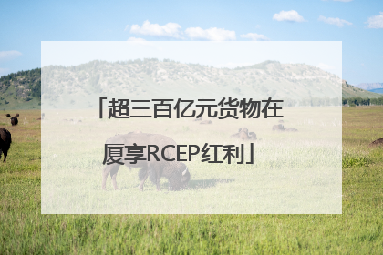 超三百亿元货物在厦享RCEP红利