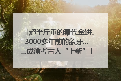 超半斤重的秦代金饼、3000多年前的象牙……成渝考古人“上新”