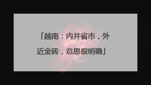 越南：内并省市，外近金砖，意思很明确