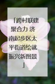 跨村联建聚合力 济南起步区太平街道绘就振兴新图景