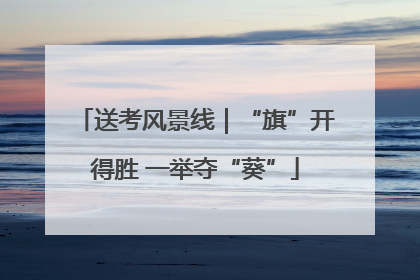 送考风景线｜“旗”开得胜 一举夺“葵”