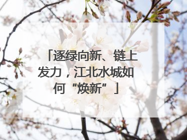 逐绿向新、链上发力，江北水城如何“焕新”