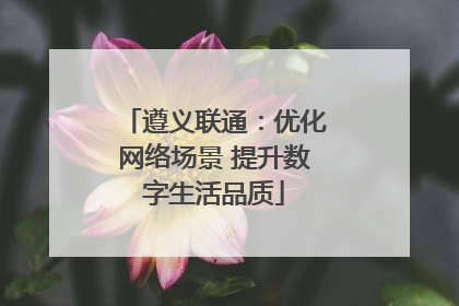 遵义联通：优化网络场景 提升数字生活品质