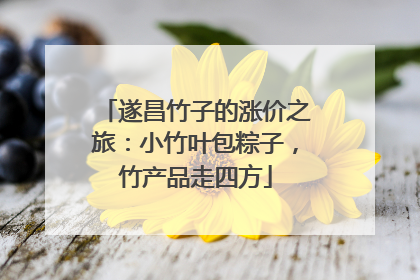 遂昌竹子的涨价之旅：小竹叶包粽子，竹产品走四方