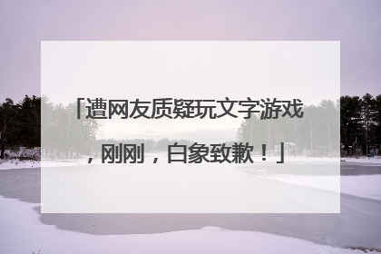 遭网友质疑玩文字游戏，刚刚，白象致歉！