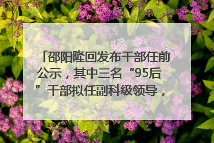 邵阳隆回发布干部任前公示，其中三名“95后”干部拟任副科级领导，均系硕士选调生