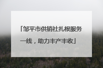 邹平市供销社扎根服务一线，助力丰产丰收
