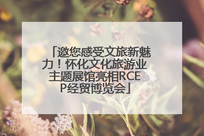 邀您感受文旅新魅力！怀化文化旅游业主题展馆亮相RCEP经贸博览会