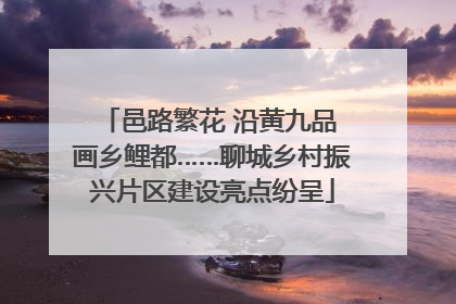邑路繁花 沿黄九品 画乡鲤都……聊城乡村振兴片区建设亮点纷呈
