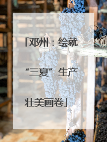 邓州：绘就“三夏”生产壮美画卷
