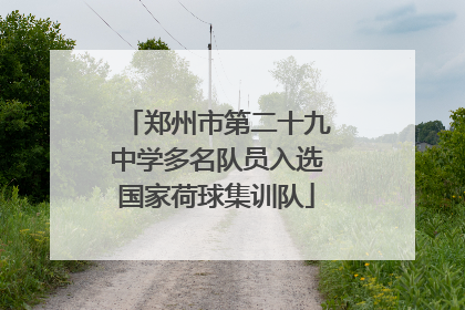 郑州市第二十九中学多名队员入选国家荷球集训队