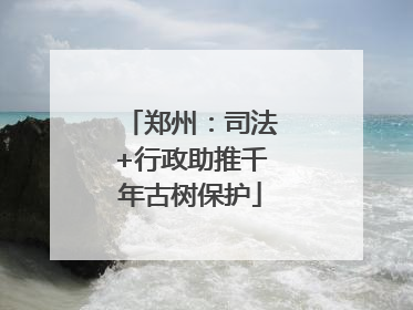 郑州：司法+行政助推千年古树保护