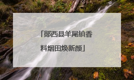 郧西县羊尾镇香料烟田焕新颜