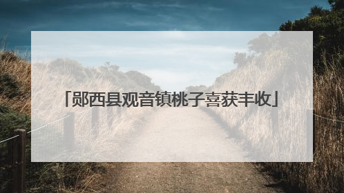 郧西县观音镇桃子喜获丰收