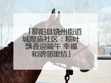鄱阳县饶州街道城隍庙社区：粽叶飘香迎端午 幸福和谐邻里情