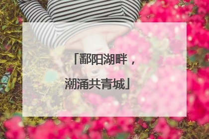 鄱阳湖畔，潮涌共青城