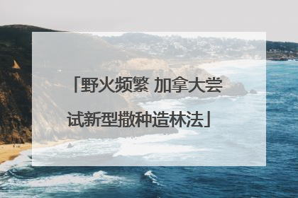 野火频繁 加拿大尝试新型撒种造林法