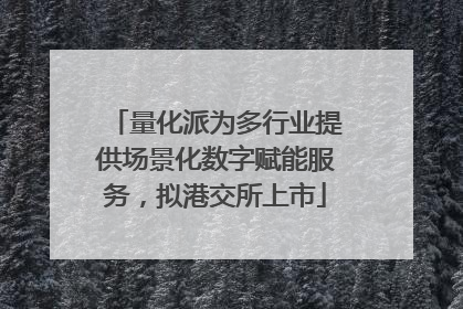 量化派为多行业提供场景化数字赋能服务，拟港交所上市