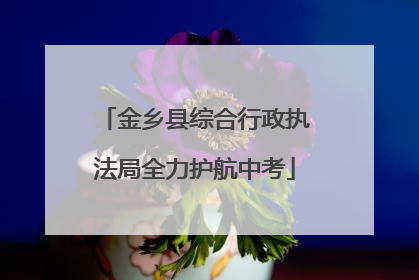 金乡县综合行政执法局全力护航中考