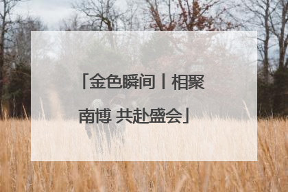 金色瞬间丨相聚南博 共赴盛会