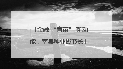 金融 “育苗” 新动能，莘县种业拔节长
