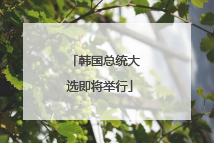 韩国总统大选即将举行
