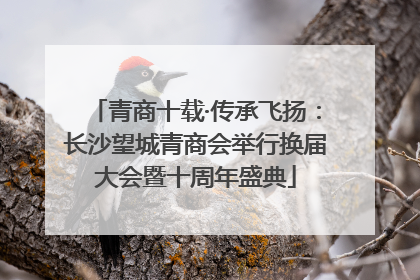 青商十载·传承飞扬：长沙望城青商会举行换届大会暨十周年盛典