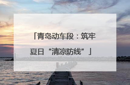 青岛动车段：筑牢夏日“清凉防线”