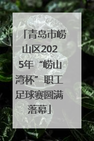 青岛市崂山区2025年“崂山湾杯”职工足球赛圆满落幕